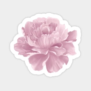 Peony Sticker